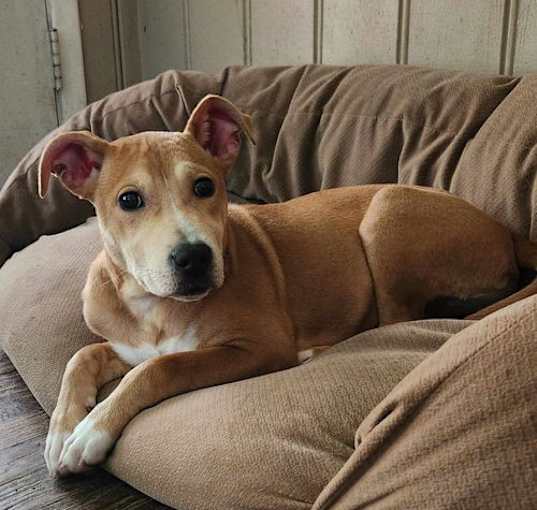 Photo of Lucy