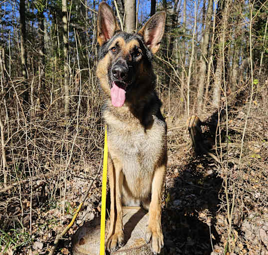 Photo of Atlas