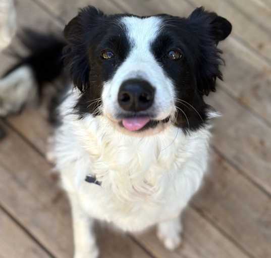 Photo of Traka