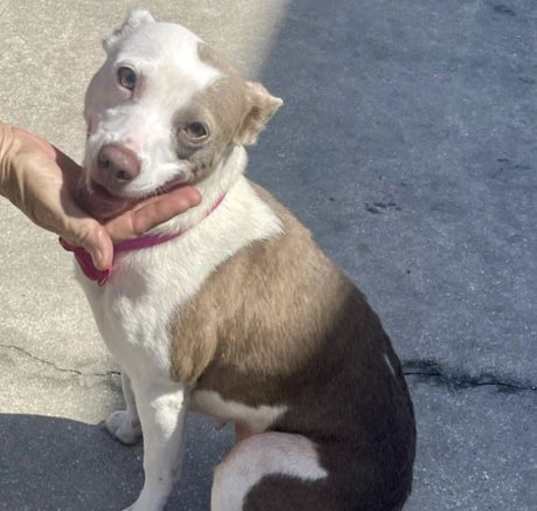 Photo of Gladys