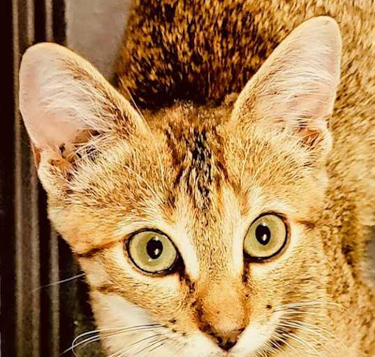 Photo of Tinker Bell