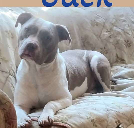 Photo of Jack