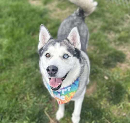 Photo of Penny