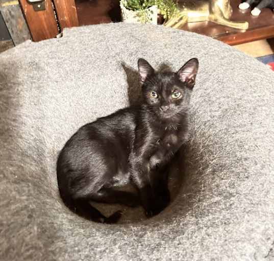 Photo of Storm