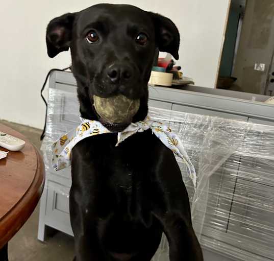 Photo of Wilma