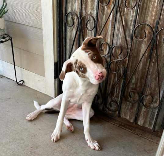Photo of Willa