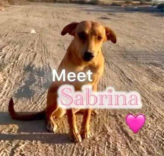 Photo of Sabrina