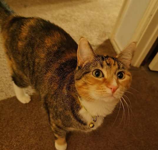 Photo of Bootsie