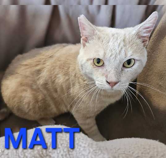 Photo of MATT