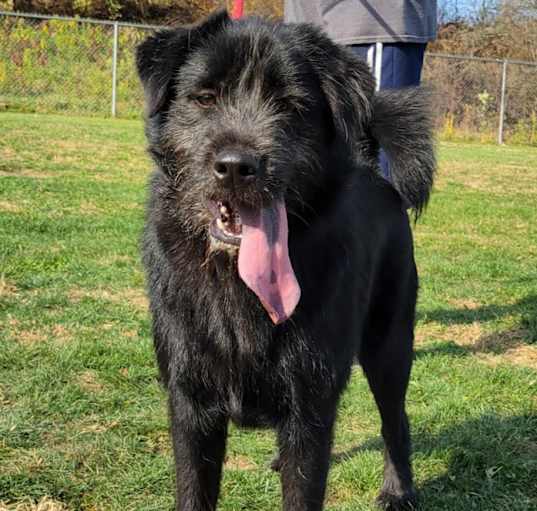 Photo of Louie