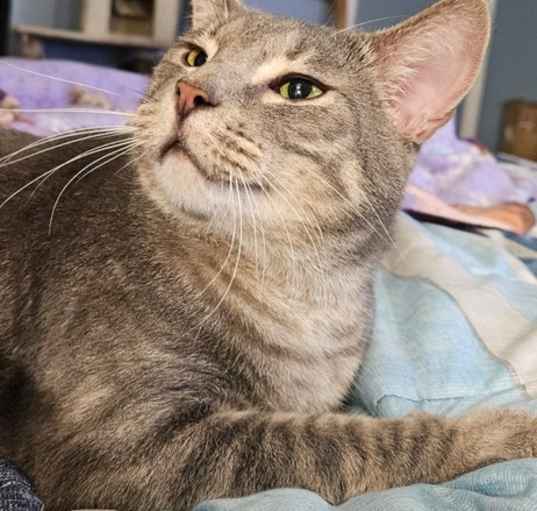 Photo of Buddy
