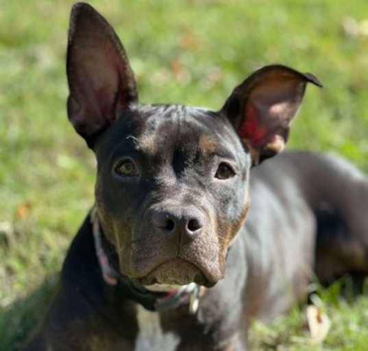 Photo of Matilda
