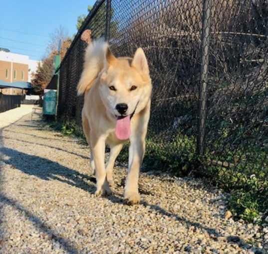 Photo of Hopper