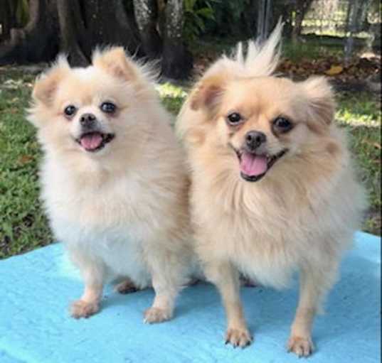 Photo of Dana & Annie Mae