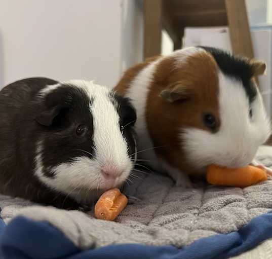 Photo of Motaz & Baby Zay