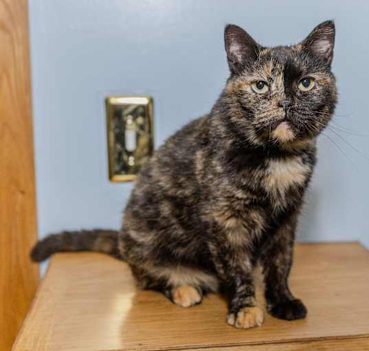 Photo of Betty