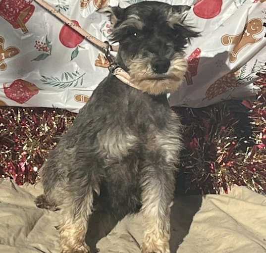 Photo of FRITZ