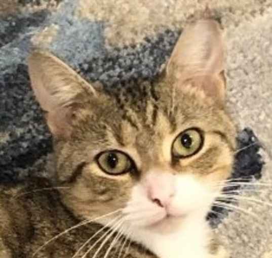 Photo of Bruiser