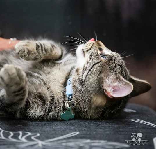 Photo of Cida