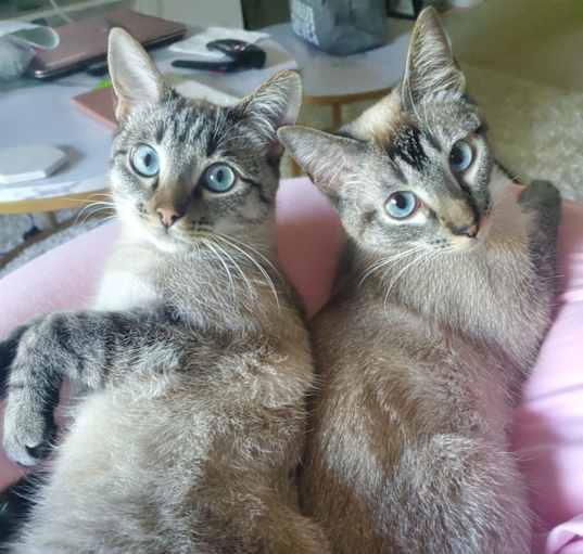 Photo of Kira&Kaya