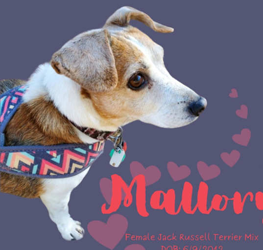 Photo of Mallory (fka Gizzel)