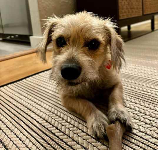 Photo of Oona