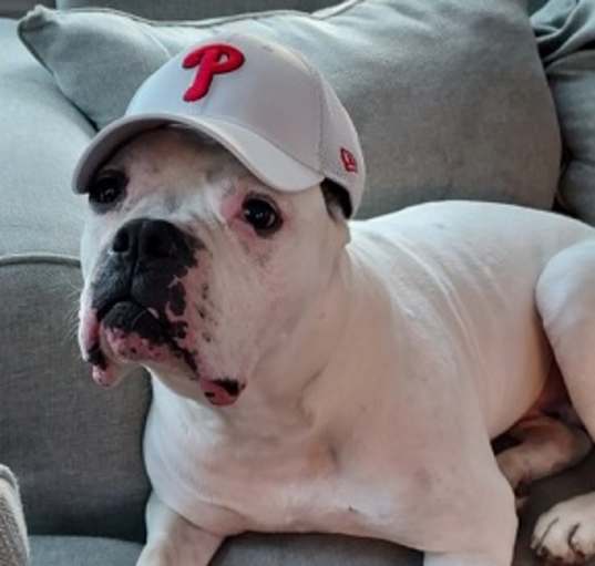 Photo of Bugsy