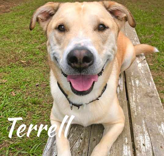 Photo of Terrell