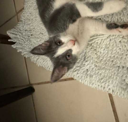 Photo of Marie