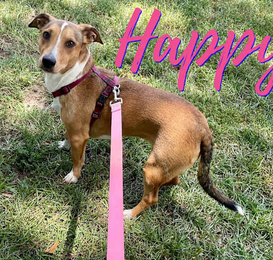 Photo of Happy in Texarkana TX
