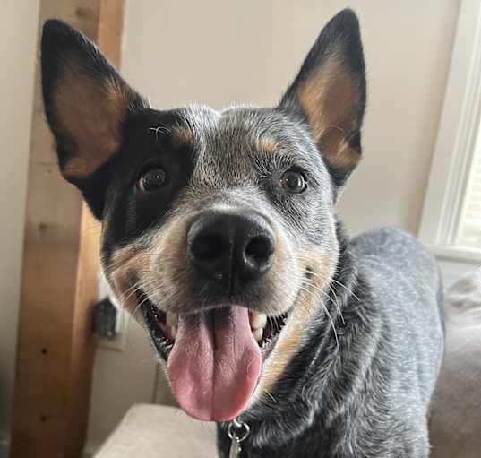 Photo of Maeby