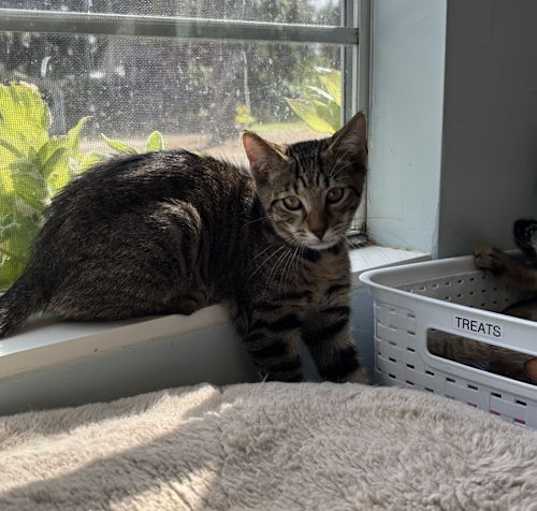 Photo of Keebler