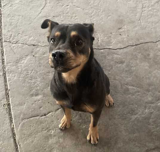 Photo of Oso