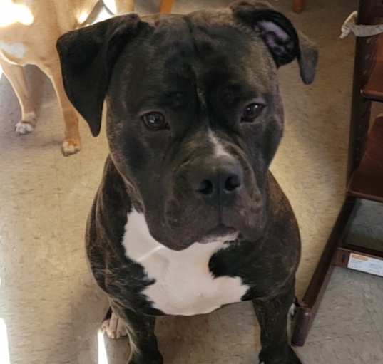 Photo of Hunter
