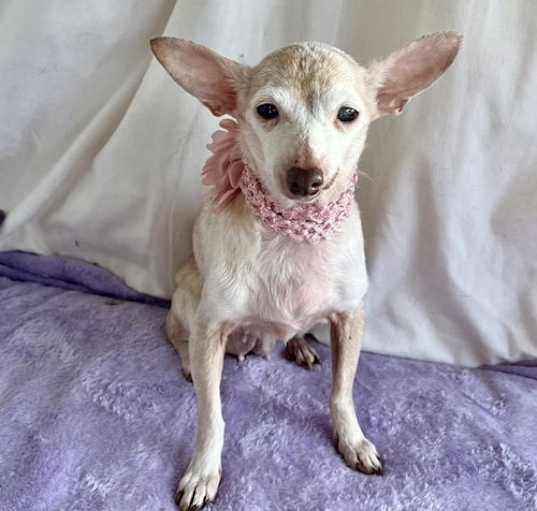 Photo of BIBI