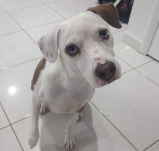 Photo of Maya