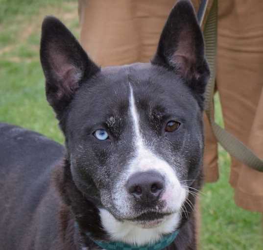 Photo of Tank