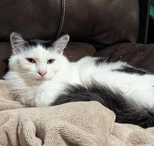 Photo of Major