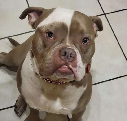 Photo of Bronx