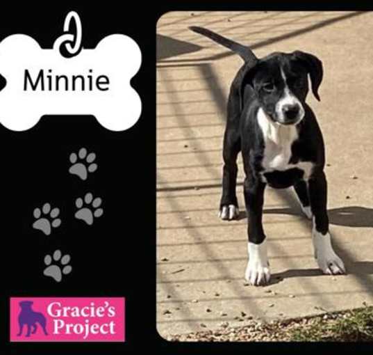 Photo of Minnie
