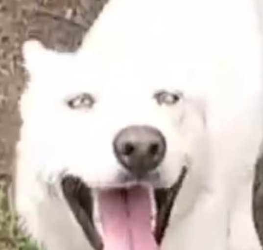 Photo of Skylar