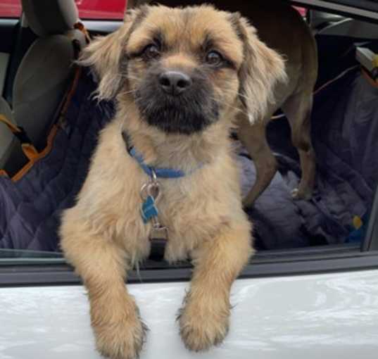 Photo of Teddy Bear