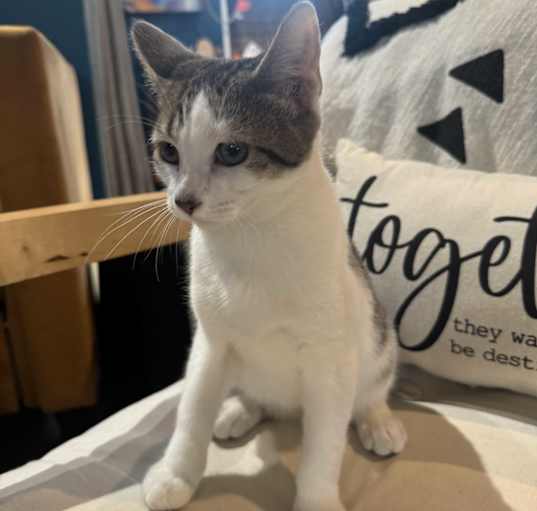 Photo of Snicker