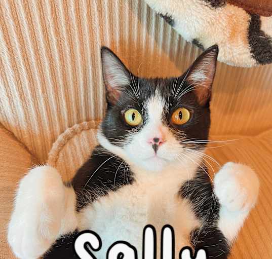 Photo of Sally