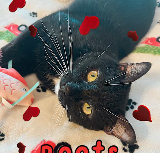 Photo of Boots