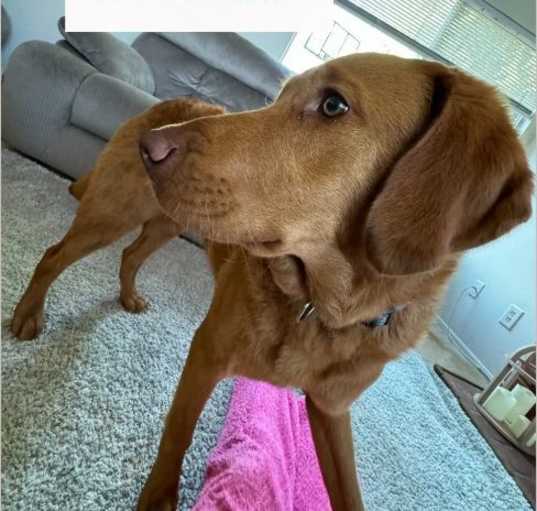 Photo of Bruno