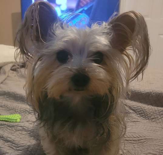 Photo of Minnie