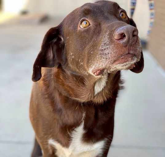 Photo of Jake