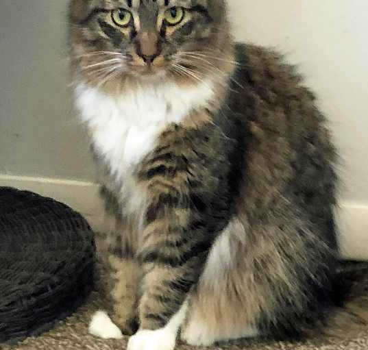 Photo of Skye