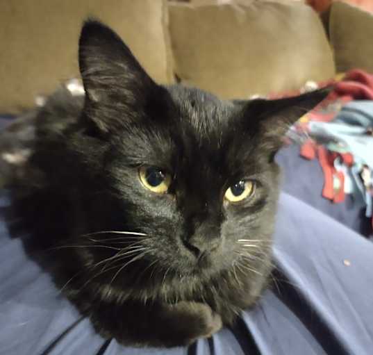 Photo of Riley